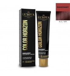 LUXOYA COLOR HORIZON -Farba s amoniakom 60ml 6.5/6M 